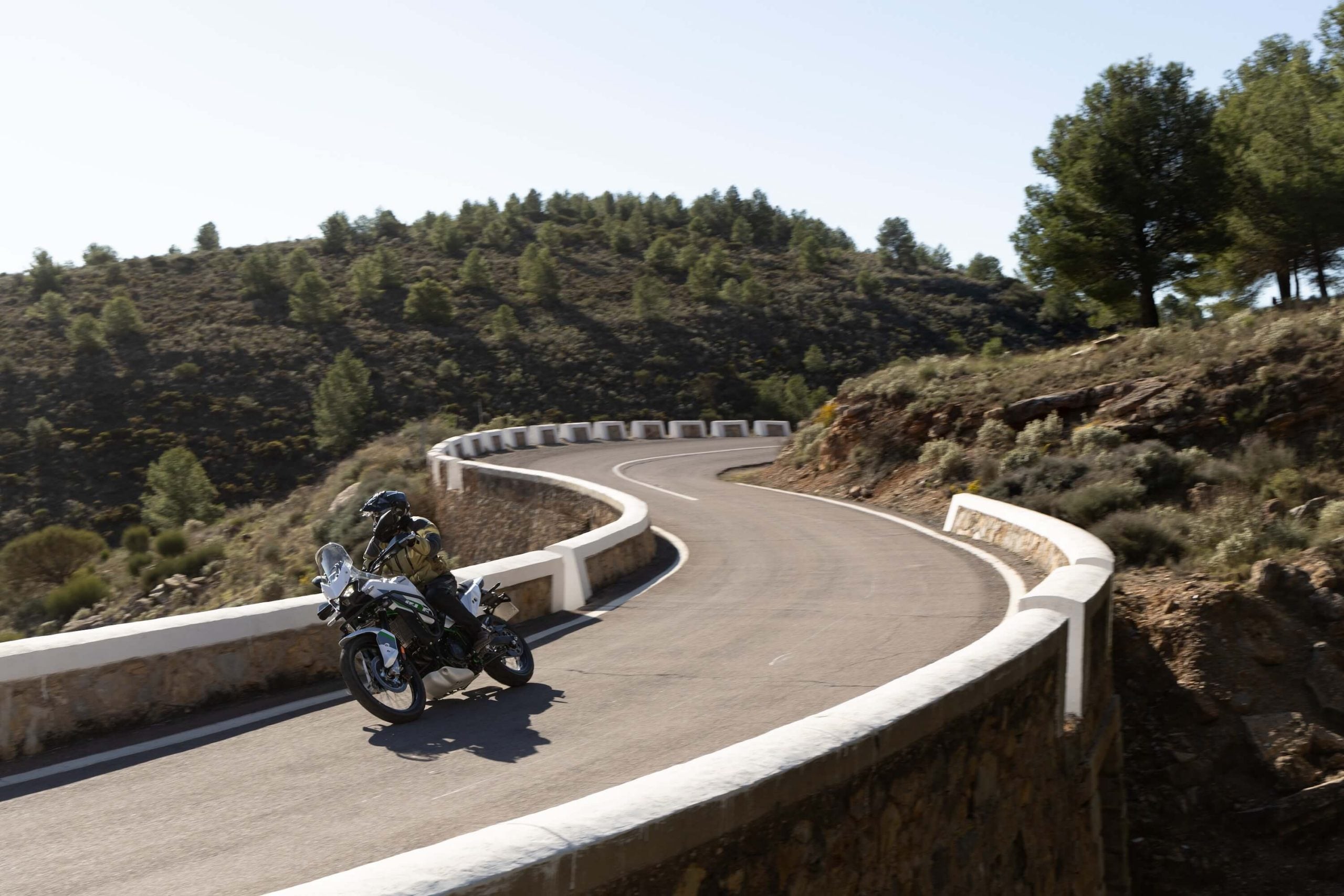 Kawasaki KLE500