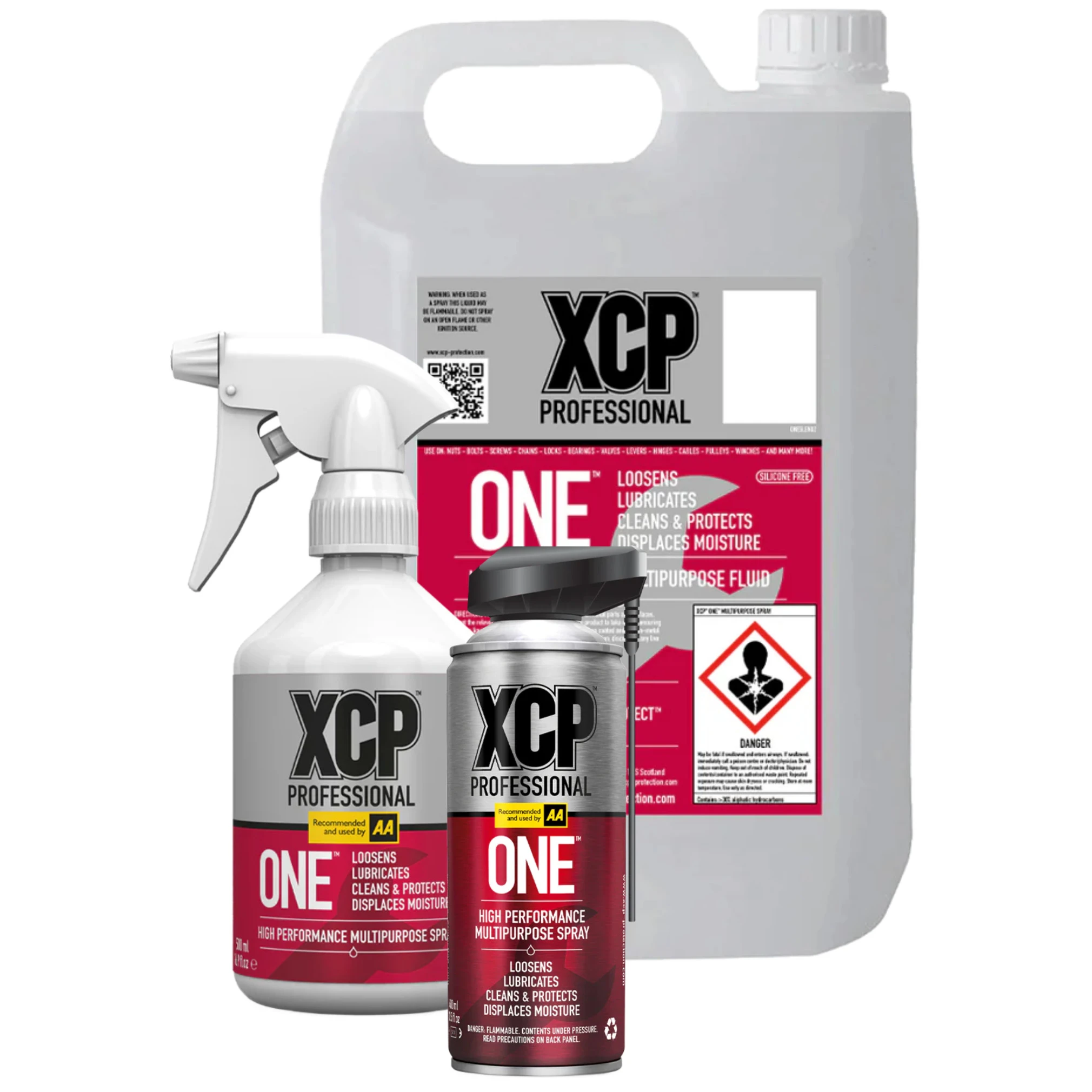 XCP Professional XCP Professional - One