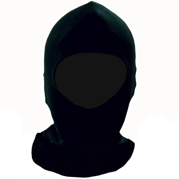 Bike It Bike It Silk Balaclava