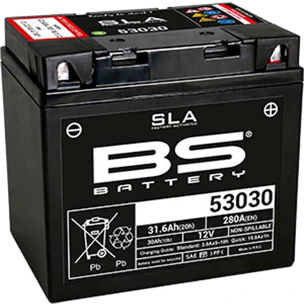 BS Batteries BS Batteries Motorcycle Battery - 53030 SLA Sealed Lead Acid